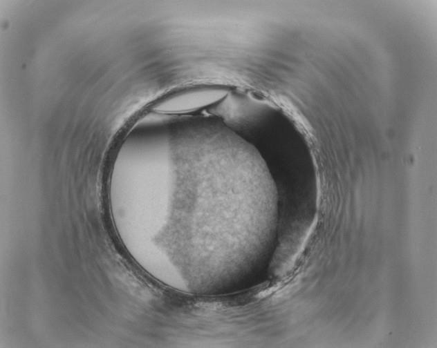 X0000088090391200706011609