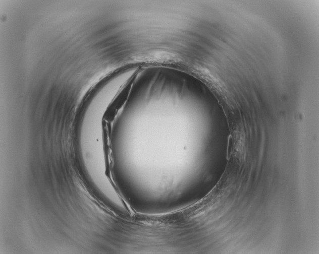 X0000088090392200706011609