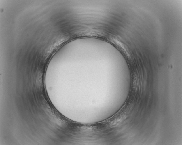 X0000088090394200706011609