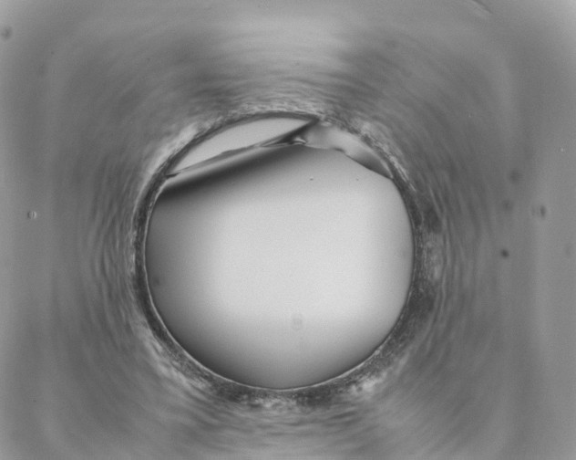 X0000088090395200706011609