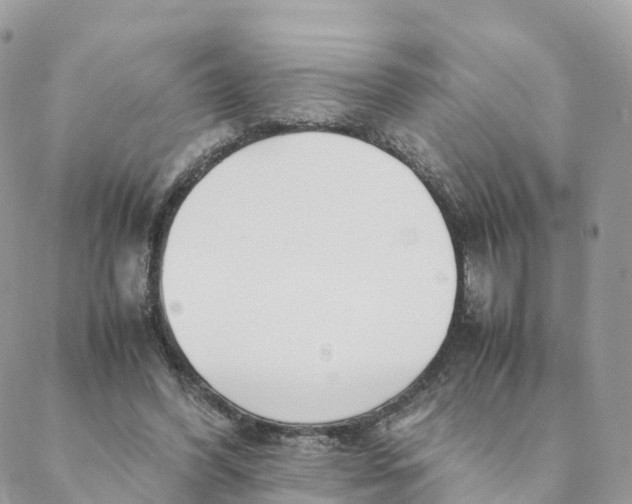 X0000088090396200706011609