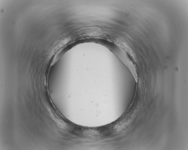 X0000088090397200706011609