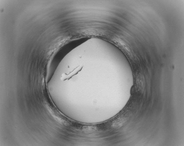 X0000088090398200706011609