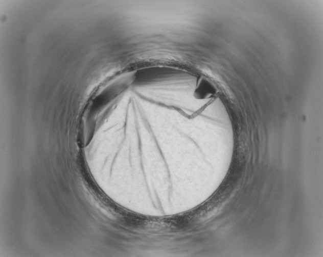 X0000088090399200706011609