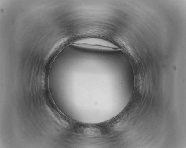 X0000088090400200706011609