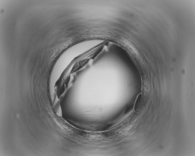 X0000088090401200706011609