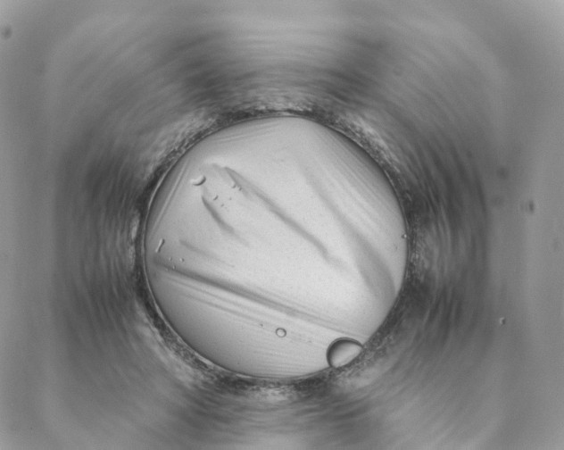 X0000088090402200706011609