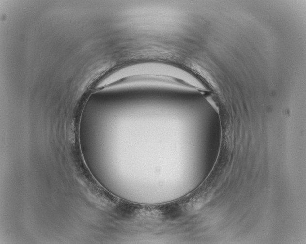 X0000088090403200706011609