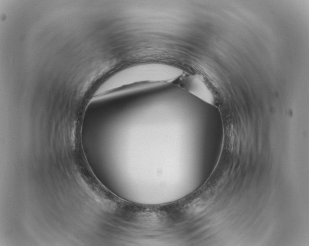 X0000088090404200706011609