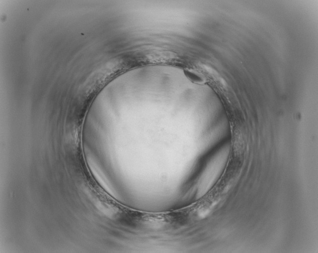 X0000088090405200706011609