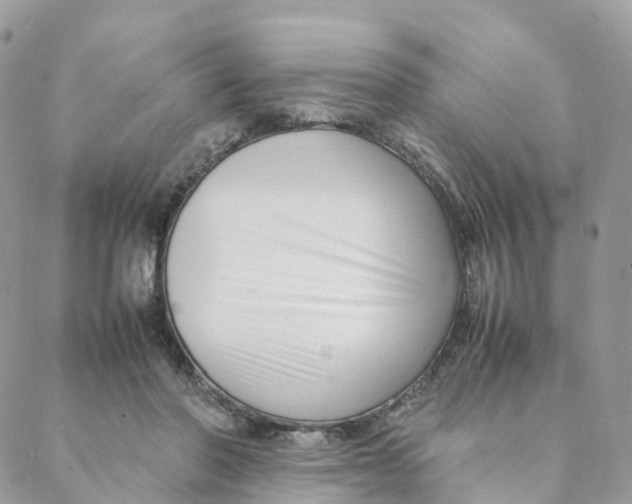 X0000088090406200706011609