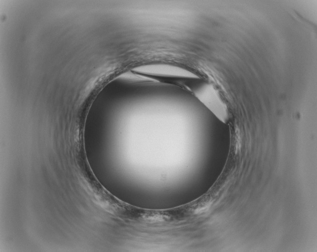 X0000088090407200706011609