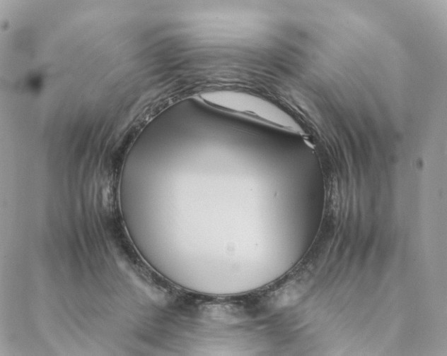 X0000088090408200706011609