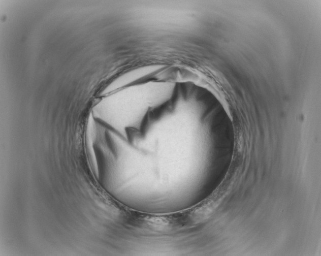 X0000088090409200706011609