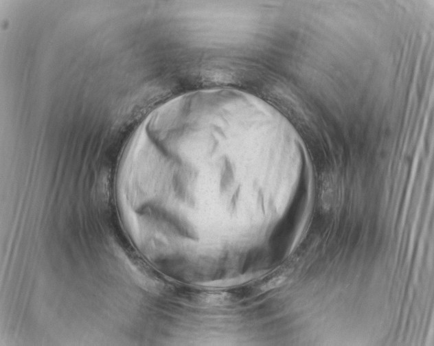 X0000088090410200706011609