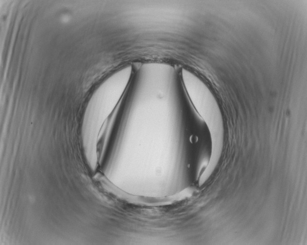 X0000088090411200706011609