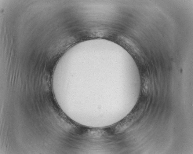 X0000088090414200706011609