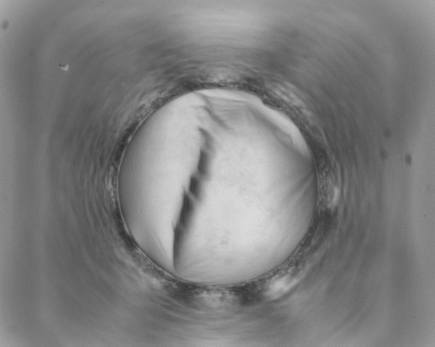 X0000088090415200706011609