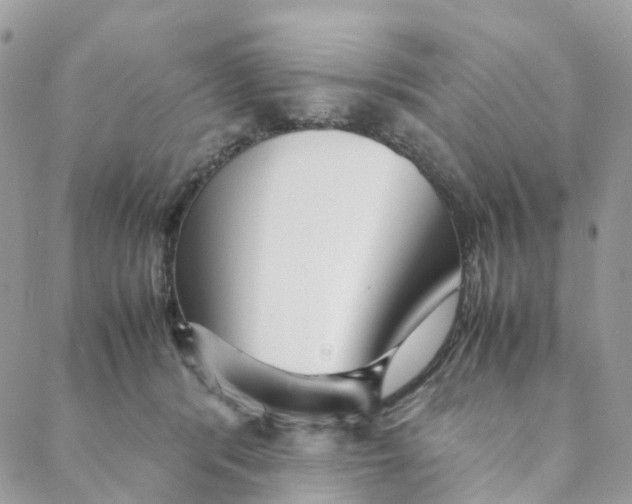 X0000088090416200706011609