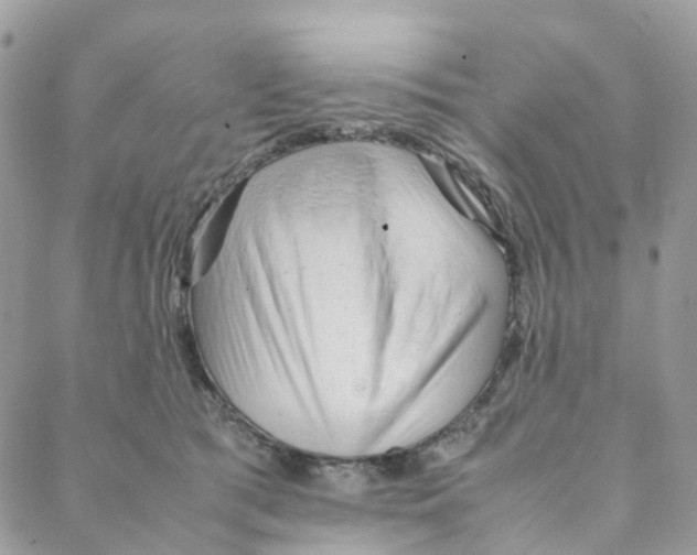 X0000088090417200706011609