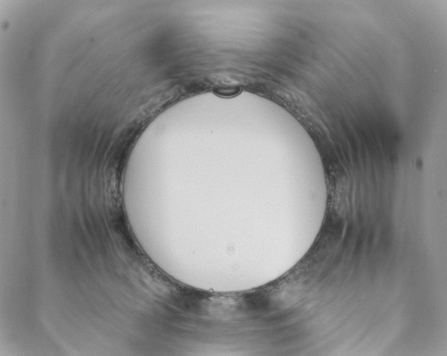 X0000088090418200706011609