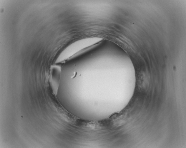 X0000088090420200706011609