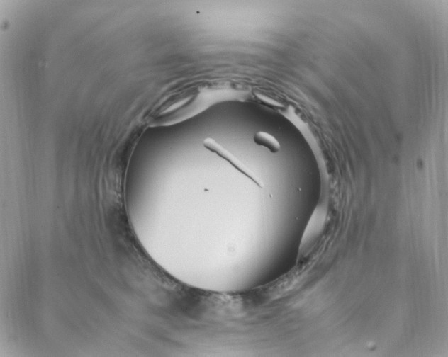 X0000088090421200706011609