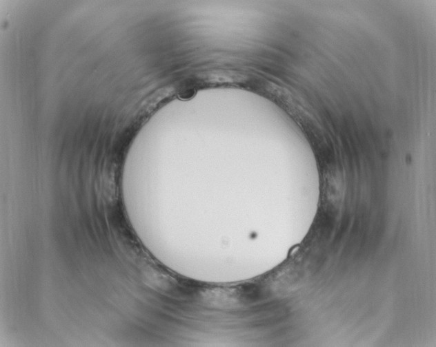 X0000088090422200706011608