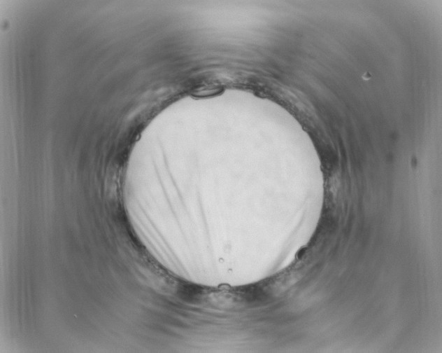 X0000088090423200706011608