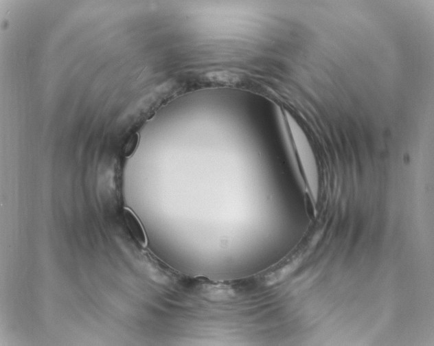 X0000088090424200706011608