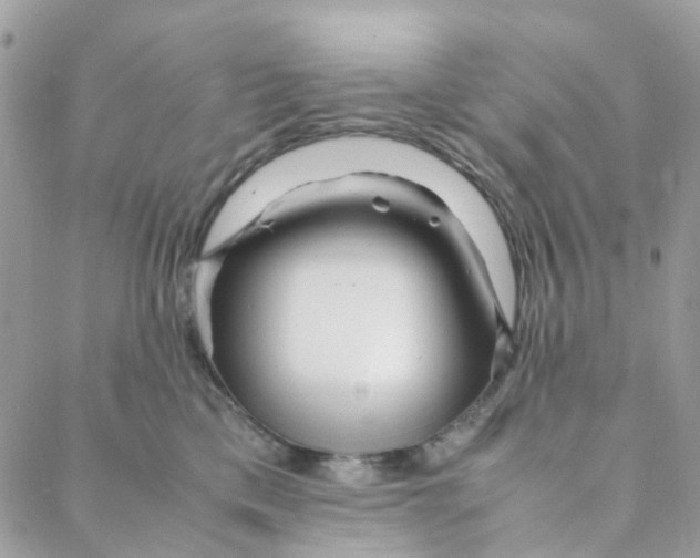 X0000088090425200706011608