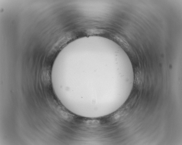 X0000088090426200706011608