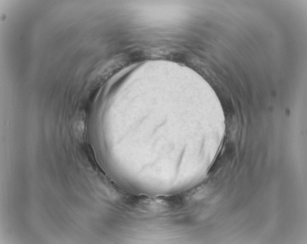 X0000088090427200706011608