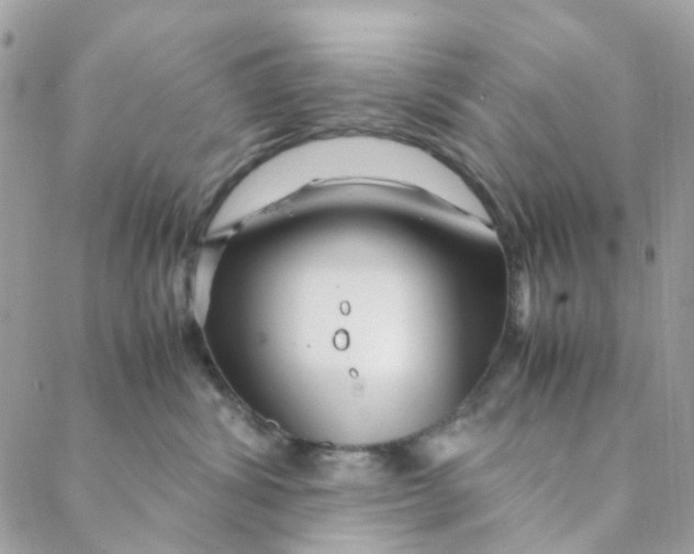 X0000088090428200706011608