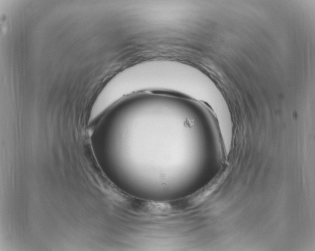 X0000088090429200706011608