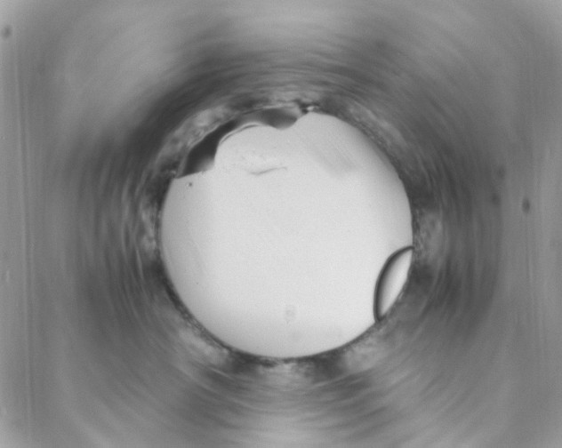 X0000088090430200706011608