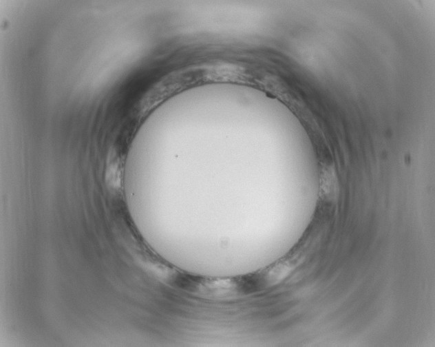 X0000088090431200706011608