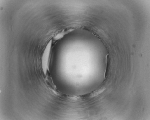 X0000088090432200706011608