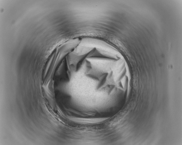 X0000088090434200706011608