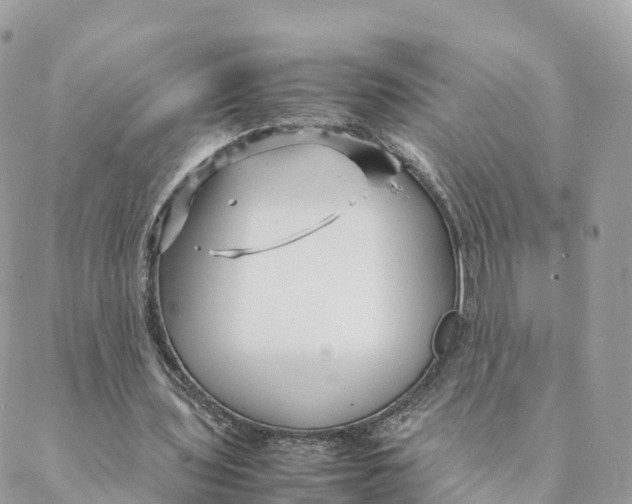 X0000088090435200706011608