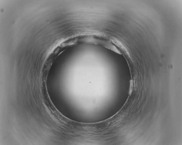 X0000088090436200706011608