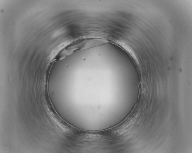 X0000088090437200706011608