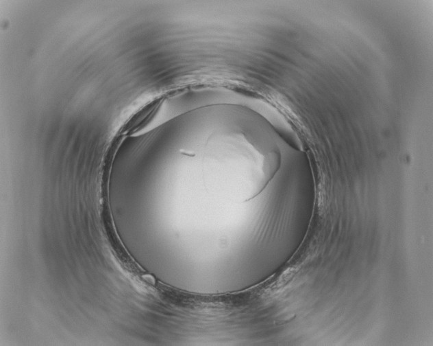 X0000088090438200706011608