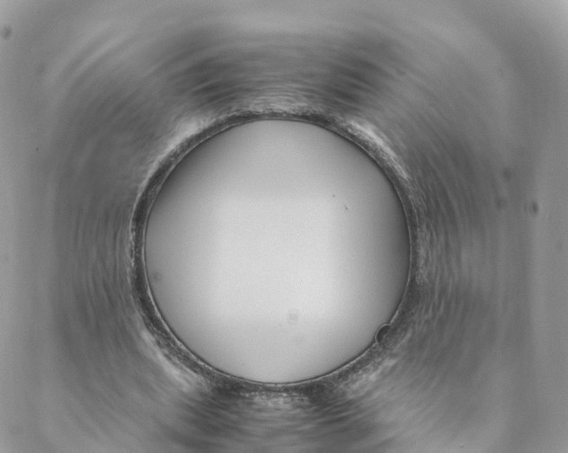 X0000088090439200706011608