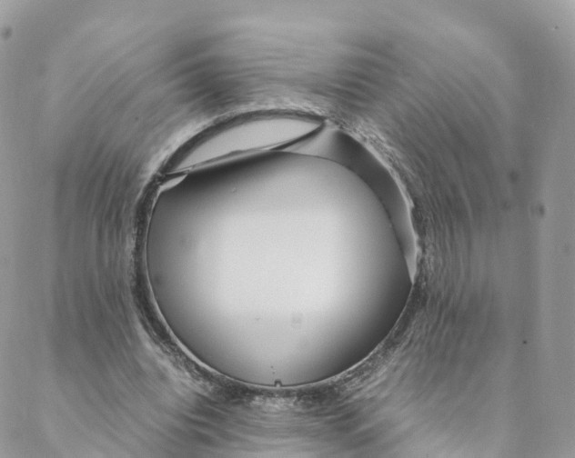 X0000088090440200706011608