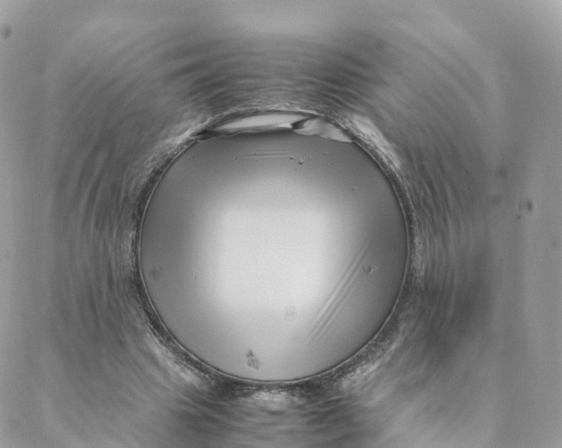 X0000088090441200706011608