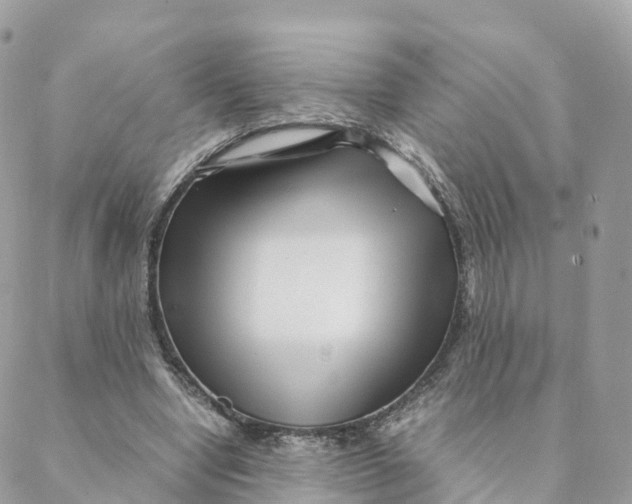 X0000088090442200706011608