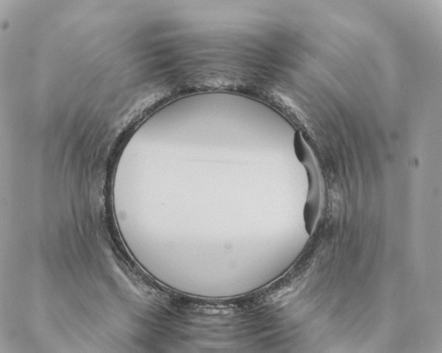 X0000088090443200706011608