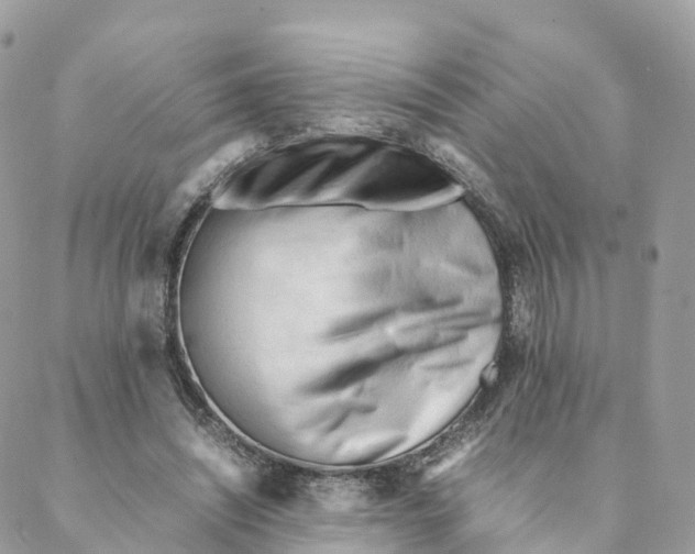 X0000088090444200706011608