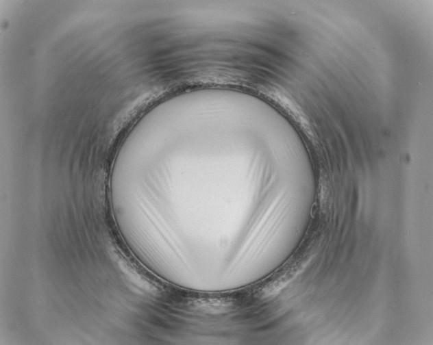 X0000088090445200706011608